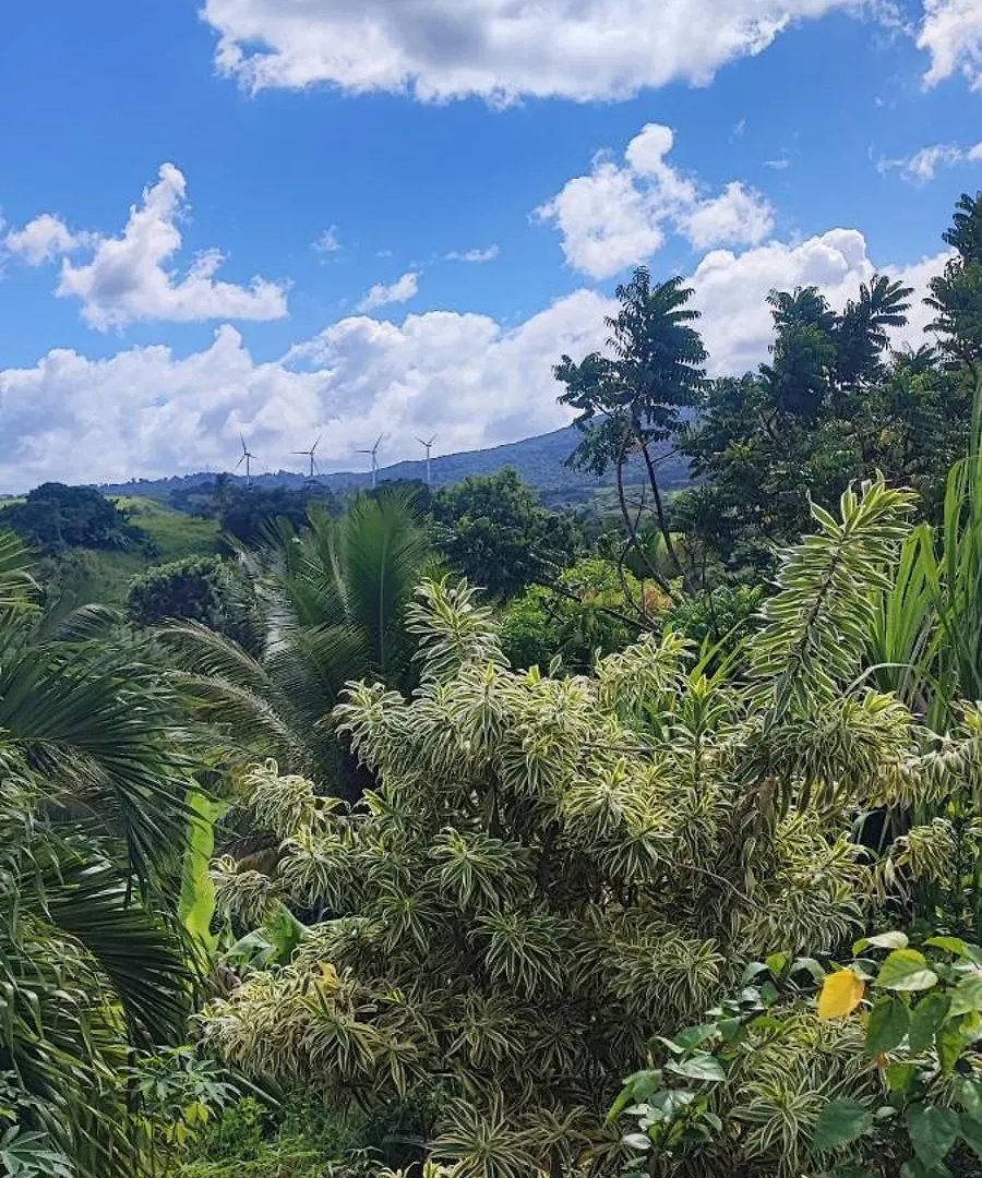 Holiday home Colibris Villa Sainte-Rose