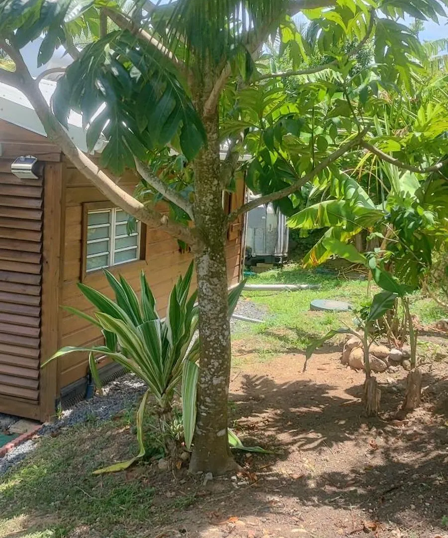 Colibris Villa Sainte-Rose Guadeloupe